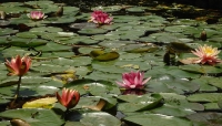 DSC08522.JPG