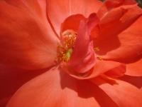 DSC09207.JPG