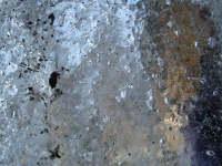 DSC00598.JPG