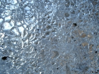 DSC00601.JPG