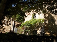 DSC08846.JPG
