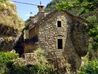 DSC08850.JPG