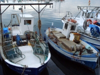 DSC09012.JPG