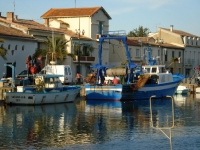 DSC09401.JPG