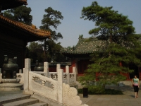 dsc07170.jpg