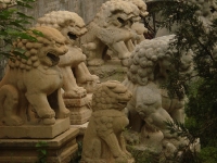 dsc07265.jpg