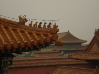 dsc07282.jpg