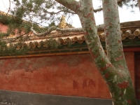 dsc07289.jpg