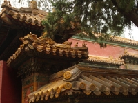dsc07300.jpg