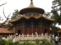 dsc07303.jpg