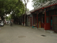 dsc07437.jpg