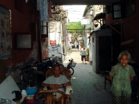 dsc07509.jpg