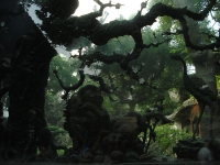 dsc07613.jpg