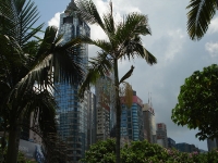 dsc07804.jpg
