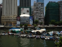 dsc07809.jpg