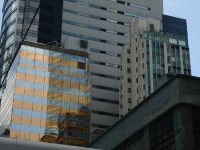 dsc07971.jpg
