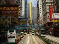 dsc08010.jpg