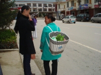 dsc08142.jpg
