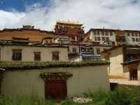dsc08160.jpg