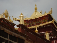 dsc08184.jpg