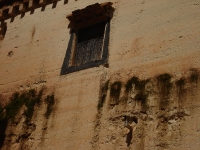dsc08185.jpg