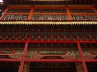 dsc08210.jpg