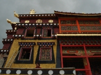 dsc08221.jpg