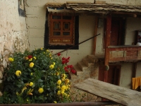 dsc08231.jpg