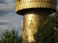 dsc08312.jpg
