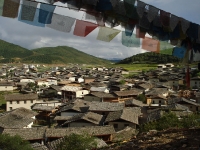 dsc08321.jpg