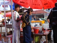 dsc08322.jpg