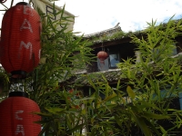 dsc08387.jpg