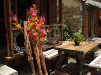 dsc08488.jpg