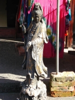dsc08531.jpg
