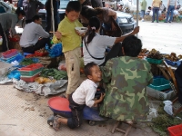 dsc08545.jpg