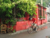 dsc08598.jpg