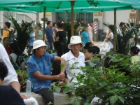 dsc08653.jpg