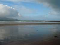 dsc09414.jpg