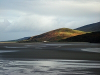 dsc09495.jpg