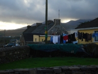 dsc09535.jpg