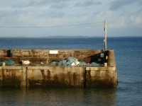 dsc09544.jpg