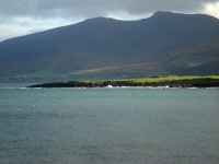 dsc09545.jpg