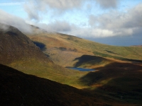 dsc09599.jpg