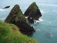 dsc09670.jpg