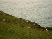 dsc09686.jpg