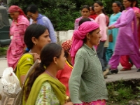 DSC02527.JPG