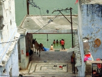 DSC04905