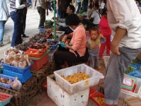 dsc08546